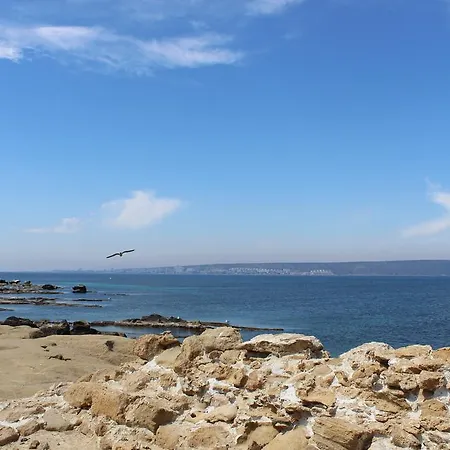 Гостевой дом Masin Табарка